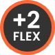 +2 Flex